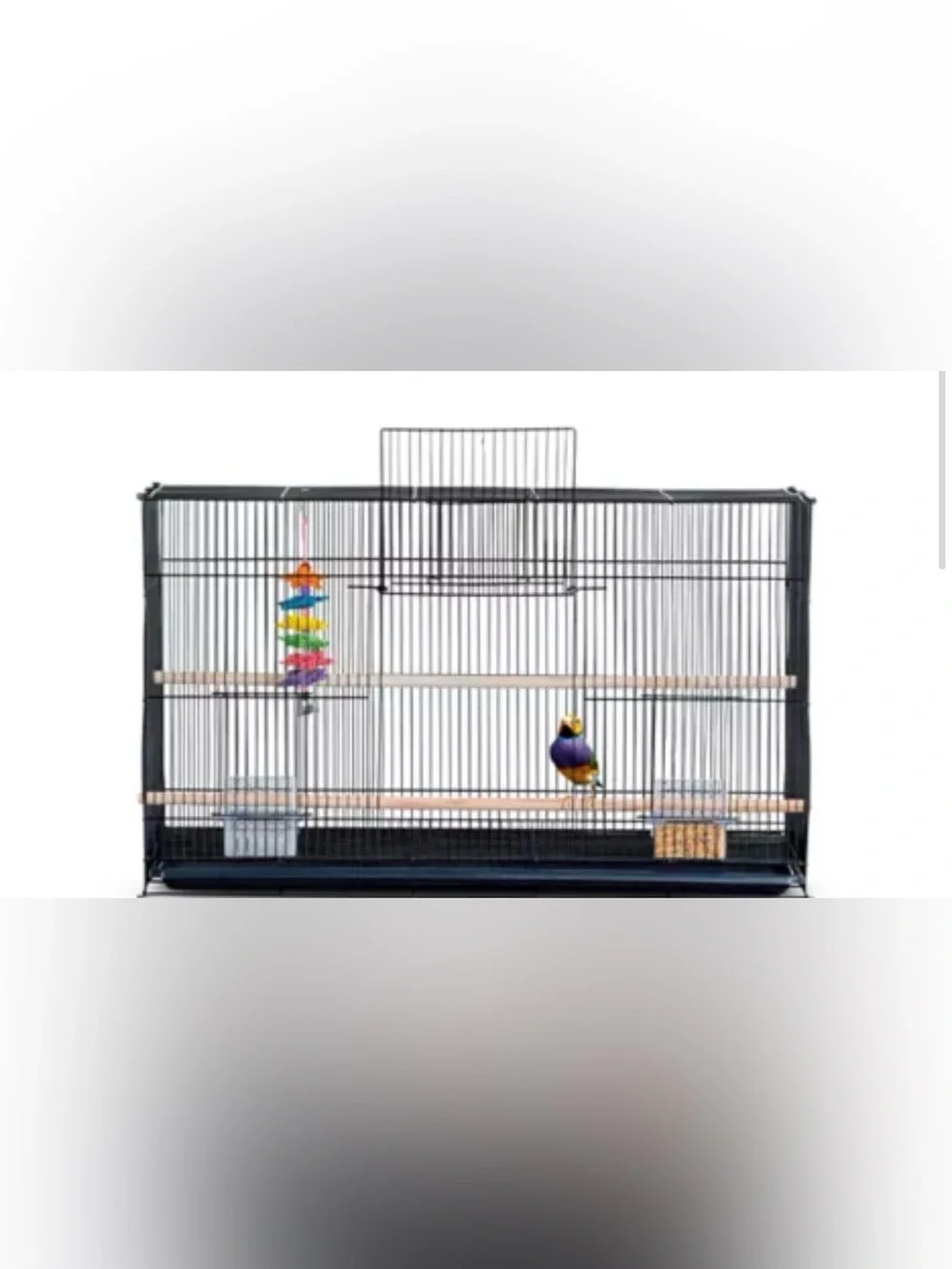 All Living Things® Flight Bird Cage